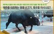 공학에선 진짜 예쁘면 다임 ㅇㄱㄹㅇ