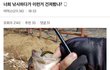 낚시하다가 건졌대 개무서워ㅠㅠㅜㅜ