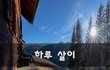 하루 살이~