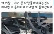 공장 방해꾼 고양이