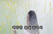 여자란 꽃잎 같아서...