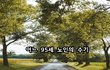 어느 95세 노인의 수기