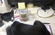 오늘의 톡