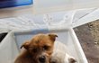 리빙박스에 버려진 자매