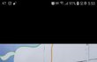 골든리트리버 남아