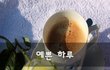 예쁜 하루~