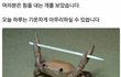 +추가)너네 자존감 바닥칠때 어떻게해?