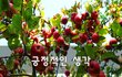긍정적인 생각~