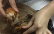 오늘의 톡