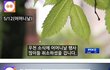 방탄소년단 GMA 공연 앞자리를 위해 야영하는 해외팬들.jpg