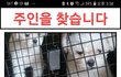 간석오거리역 푸들믹스(?)보호중입니다