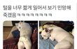 뜻밖의 섹시