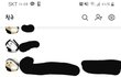 너희는 펭귄 몇 마리 키우냐