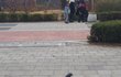 +사진 바꿨어 나 진짜 죽을뻔한적 있음