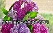 인생이 즐거운 주옥같은 이야기