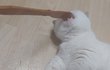 오늘의 톡