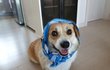 살구의 성냥 사세요~!