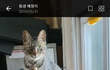 고민해결해주실분~~~ㅠ