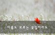 이름도 모르는 꽃일지라도~