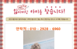 푸들(갈색) 미미를 찾아주세요!!!!!