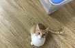 오늘의 톡
