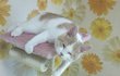 나는 열한살 할배 고양이 싼쵸옹 3