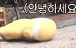 노래 가사 중에 웃긴 거 ㅋㅋㅋㅋㅋ
