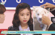 여자는 고양이상보다 개상이 좋다.