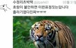 얘들아 이런 느낌나는 브랜드 있음?