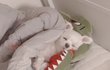오늘의 톡
