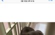 "아가닥스훈트의 성장일기"