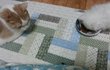 나는 열한살 할배 고양이 싼쵸옹 20