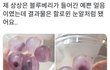 블루베리가 들어간 예쁜 얼음을 만들고 싶었다