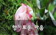 향기로운 마음~