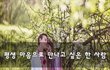 평생 마음으로 만나고 싶은 한 사람~