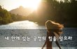 내 안에 있는 긍정의 힘을 믿으라~