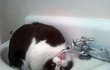 나 좀 구해라 집사!