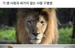 기 쎈거와 싸가지 없는거 구분법