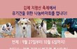 유기견돕기 바자회