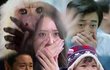 도오오옥~수리~날개쳐올라가아아~듯~