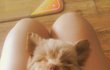 <강아지> 인형같던 아이의 역변 story..1편.(역변해도 귀여워)