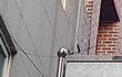 길고양이 밥주기 (달팽이가 밥을 훔쳐먹네요)