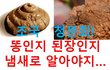[정치내전016] 똥인지 된장인지 냄새로 알아야지 손가락으로 푹~ 찍어서 입으로 먹어봐야 알수 있나?...조국청문회 (ft.룰라.비밀은없어)