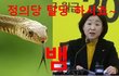 [정치내전018] 정의당은 뱀이다!!!(ft. 모모랜드 BAAM)