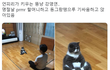 명절날 할머니하고 기싸움하고 앉아있는 뚱냥이