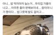 펫샵 어떻게 생각함??????