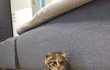 오늘의 톡