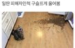 전여친 프사 이건데뭘까요