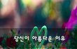 당신이 아름다운 이유~