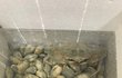 오늘의 톡